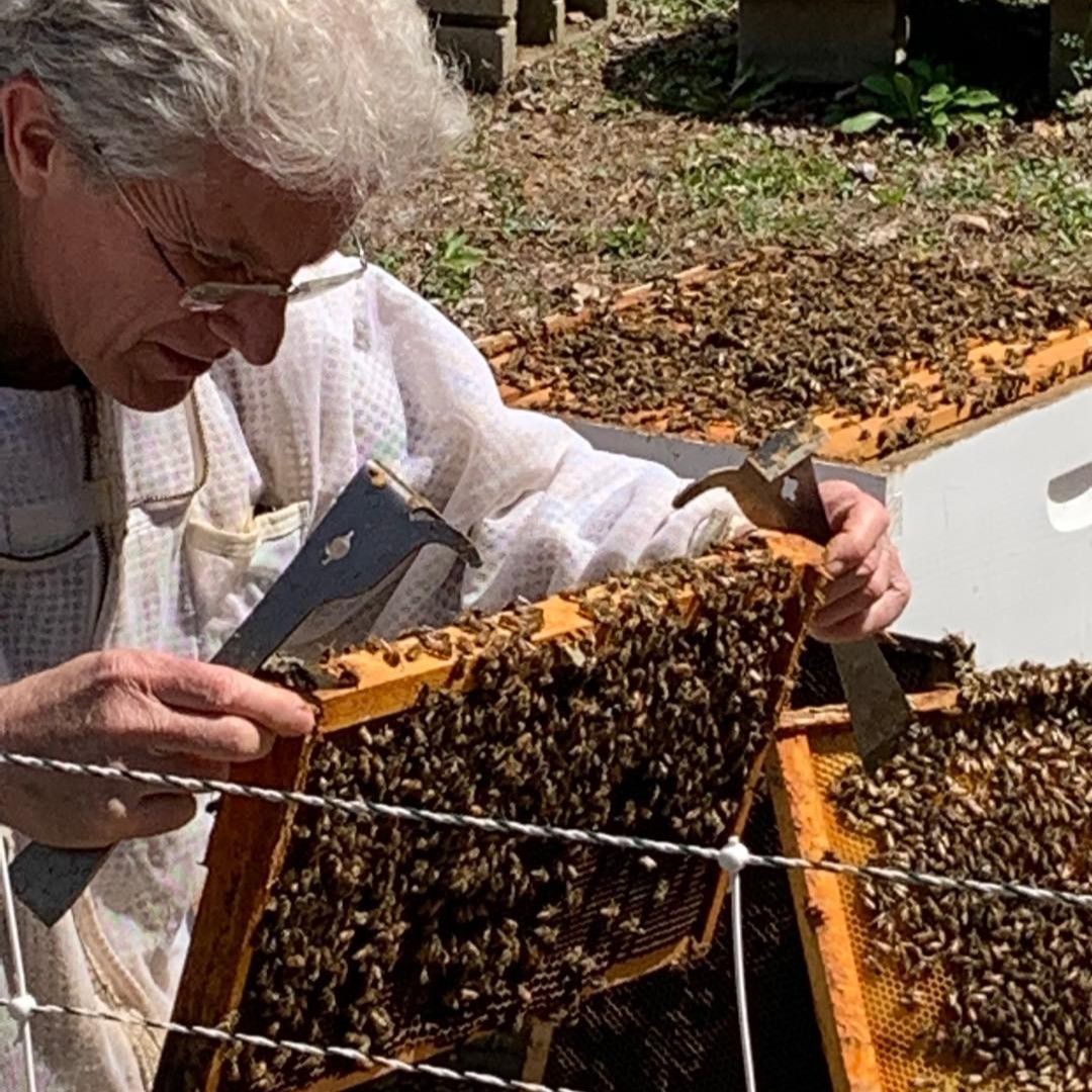 Bill Hesbach Wing Dance Apiary